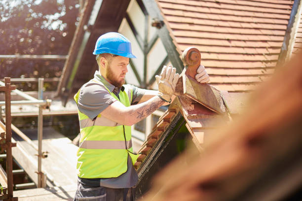 Best Metal Roofing Contractor  in Juneau, WI